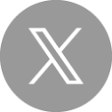 公式X