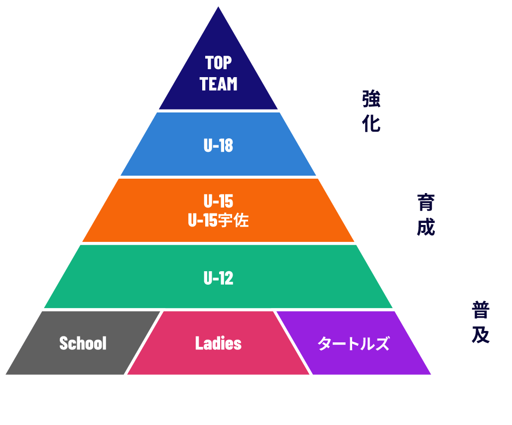 育成ピラミッド