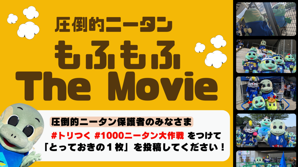 トリつく】めざせ1000ニータン！「圧倒的ニータンもふもふ