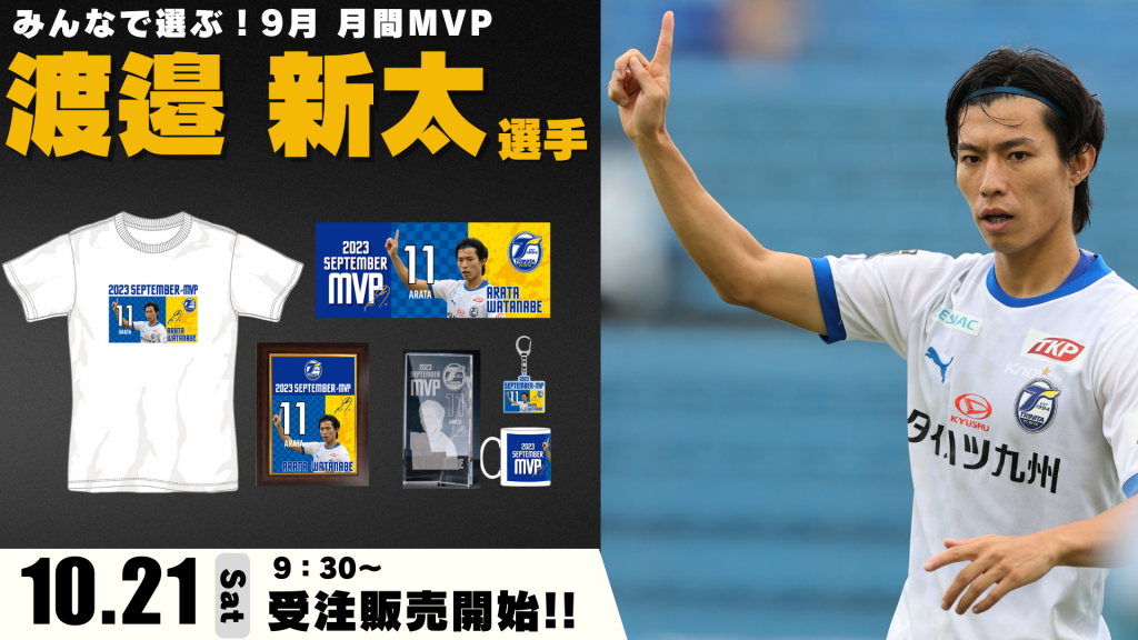 サッカー レフリー 審判セット（レッドカード・イエローカード