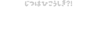 実は非公式、リッジー